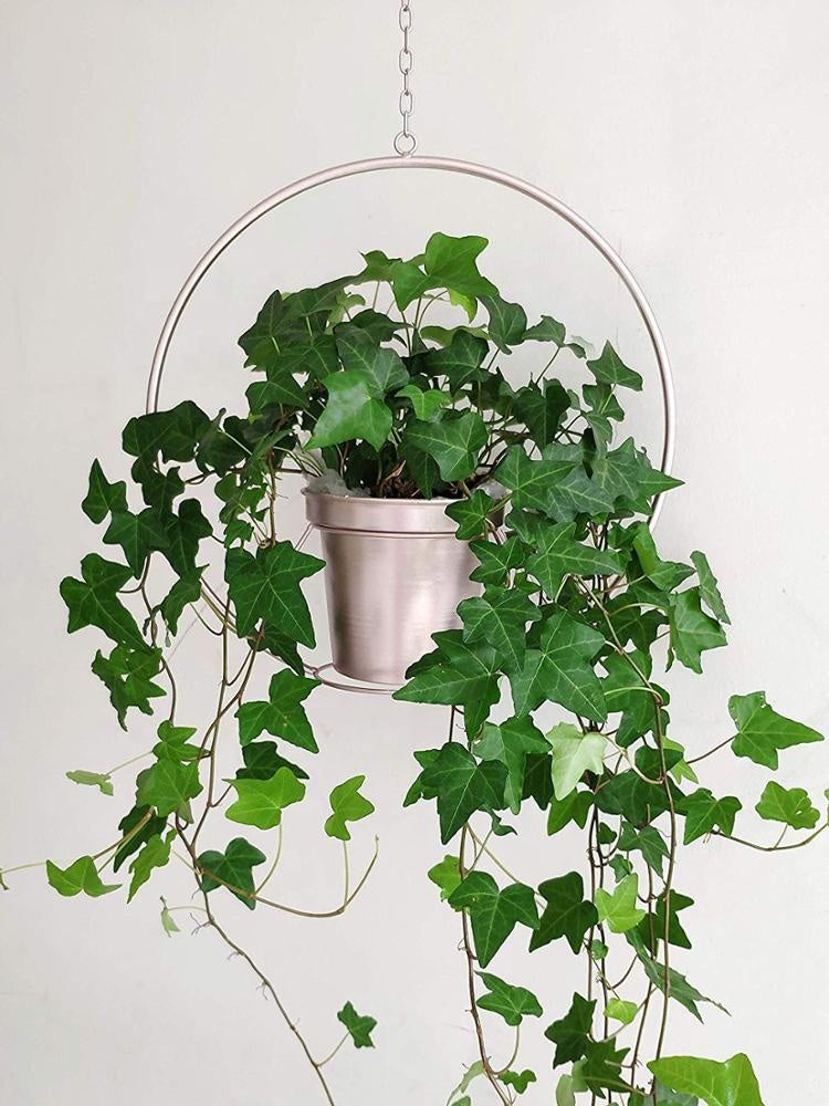 posohan-sup Rose Gold Metal Plant Hanger Plant Holder